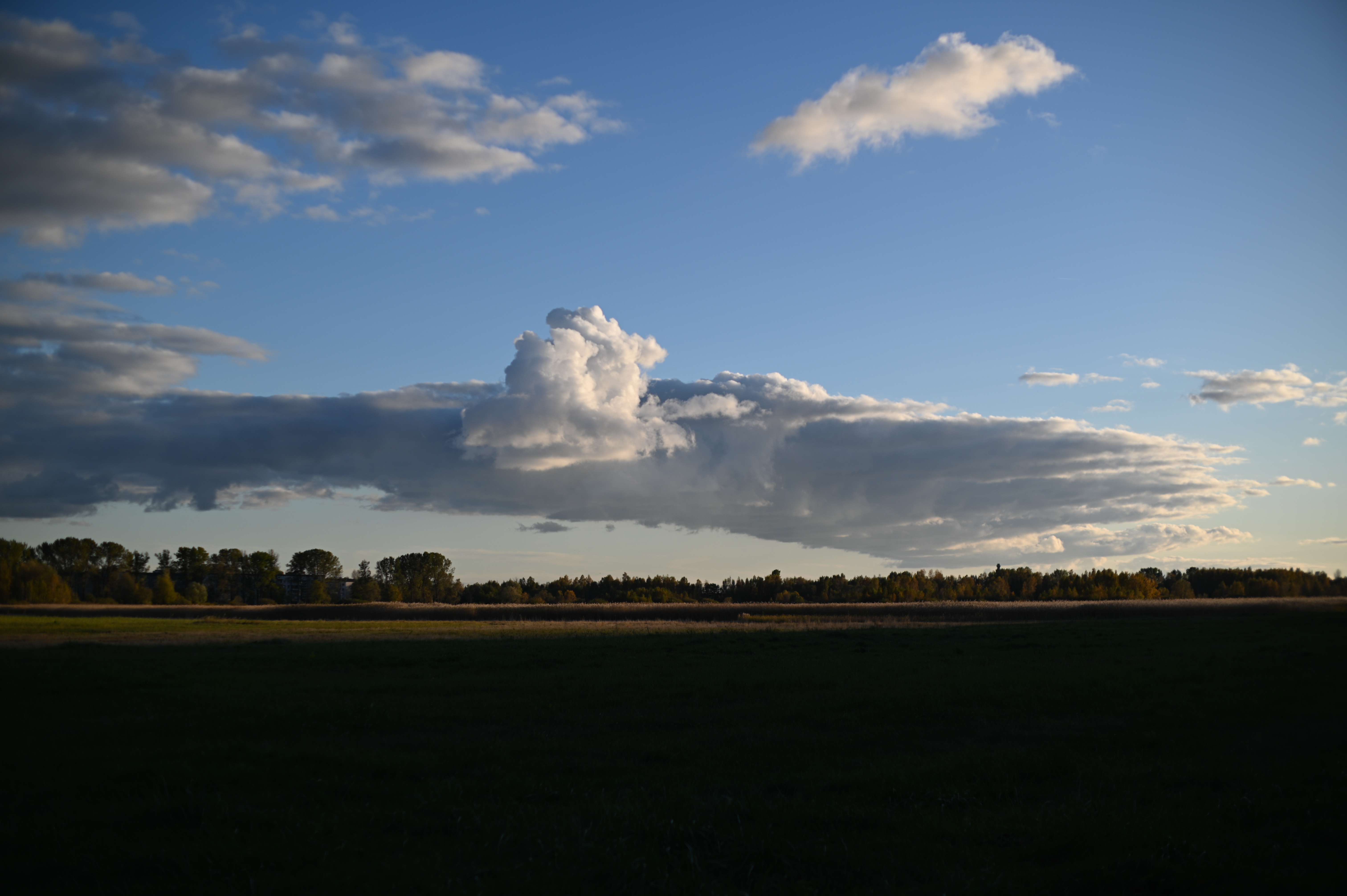 2025/10/18 - walk/DSC_0194.JPG